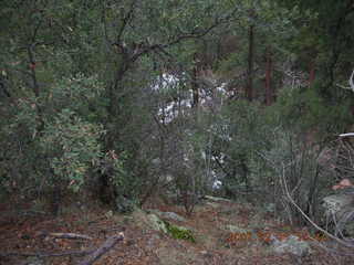 Sedona -- Secret Canyon hike