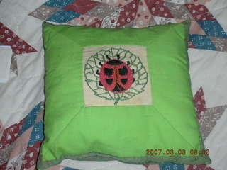 Zion National Park -- pine cone closeup