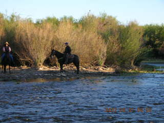 Salt River rafting trip - horses with riders