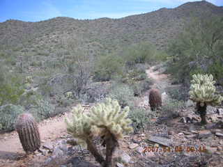 running path at Lost Dog Wash