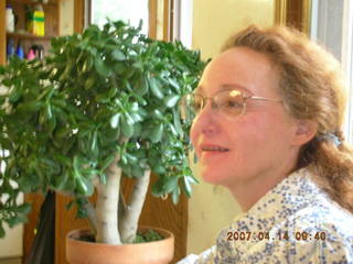 366 64e. - Betsy
