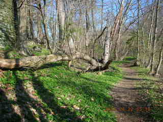 Tookany Creek Park