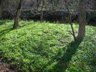 Tookany Creek