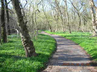 Tookany Creek