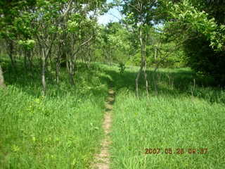 Carver Park trail