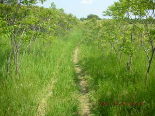 Carver Park trail
