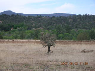 Young -- Chapman Ranch Airport - Arv on loader working on wind sock