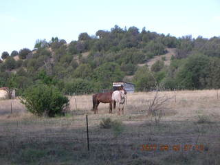 Young - run to Chapman Ranch