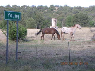 Young - run to Chapman Ranch - horses, sign