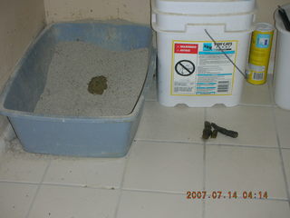 Icebox days, Adam outside