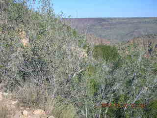Bagdad run