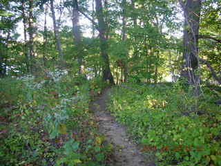 morning in Thompson Park