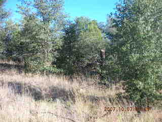 Chapman Ranch run in Young, Arizona
