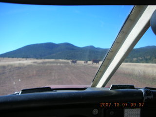 Chapman Ranch run in Young, Arizona