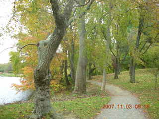 Holmdel Park - foliage