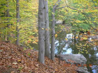 Pennypack Park