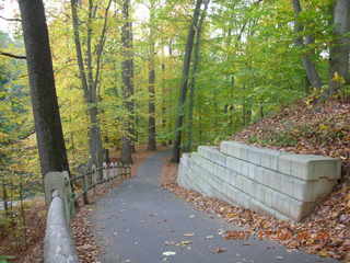 Holmdel Park runners