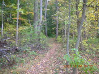 Pennypack Park