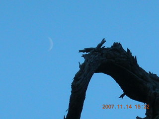 201 6be. Arches National Park - Devils Garden hike - moon in tree silhouette