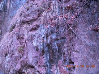 Zion National Park - low-light, pre-dawn Virgin River walk