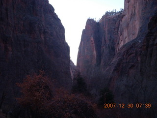 42 6cw. Zion National Park - low-light, pre-dawn Virgin River walk