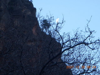 61 6cw. Zion National Park- Observation Point hike - moon