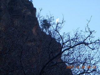 Zion National Park - low-light, pre-dawn Virgin River walk - 'Widening Canyon' sign with flash