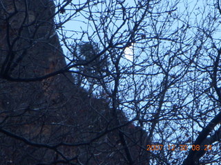 Zion National Park - low-light, pre-dawn Virgin River walk - 'Widening Canyon' sign