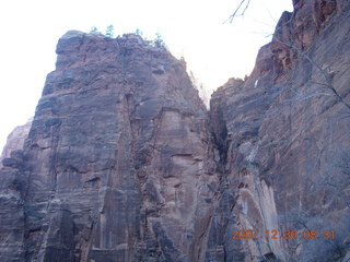 Zion National Park- Observation Point hike - moon in trees