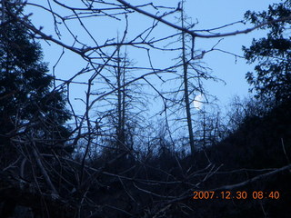 77 6cw. Zion National Park- Observation Point hike - moon in trees