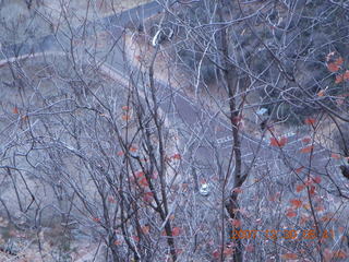 79 6cw. Zion National Park- Observation Point hike - parking lot with only my car in it