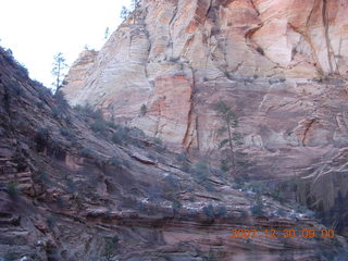 Zion National Park- Observation Point hike - moon in trees