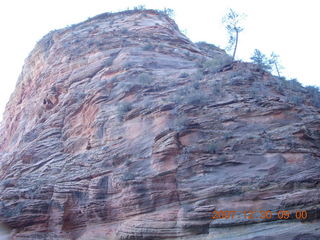 Zion National Park- Observation Point hike