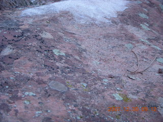 101 6cw. Zion National Park- Observation Point hike