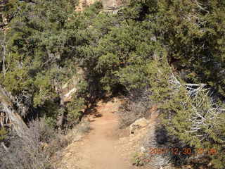 Zion National Park- Observation Point hike