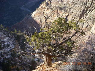 120 6cw. Zion National Park- Observation Point hike - top