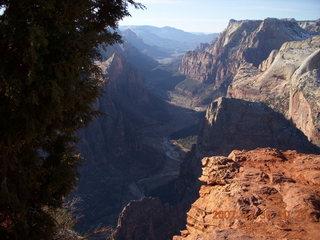 Zion National Park- Observation Point hike - view from the top