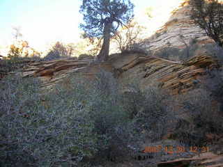 Zion National Park- Observation Point hike (old Nikon Coolpix S3) - short stretch of East Rim trail