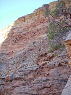 Zion National Park- Observation Point hike - slot canyon