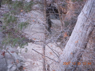 Zion National Park- Hidden Canyon hike