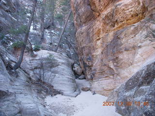 Zion National Park- Observation Point hike