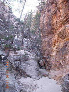 291 6cw. Zion National Park- Hidden Canyon hike
