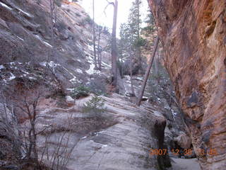 Zion National Park- Hidden Canyon hike