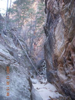 293 6cw. Zion National Park- Hidden Canyon hike