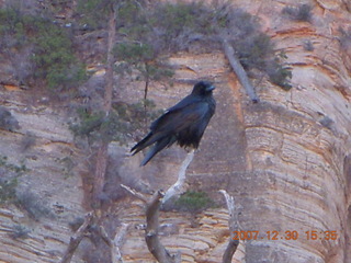 Zion National Park - driving on the road - tunnel