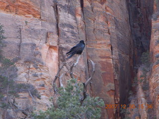 Zion National Park - Canyon Overlook hike