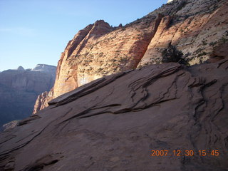 Zion National Park - Canyon Overlook hike - bird