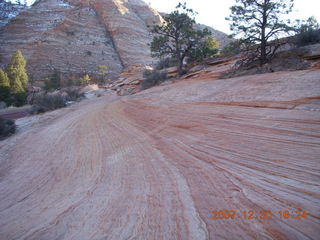 393 6cw. Zion National Park - slickrock