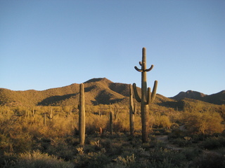 Sonia's pictures - desert at sunrise - Lost Dog Wash