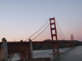 Sonia's U.S. pictures - San Francisco - seagulls